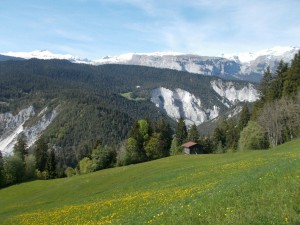 A scenic river gorge with rolling dandelion covered hills in the foreground.