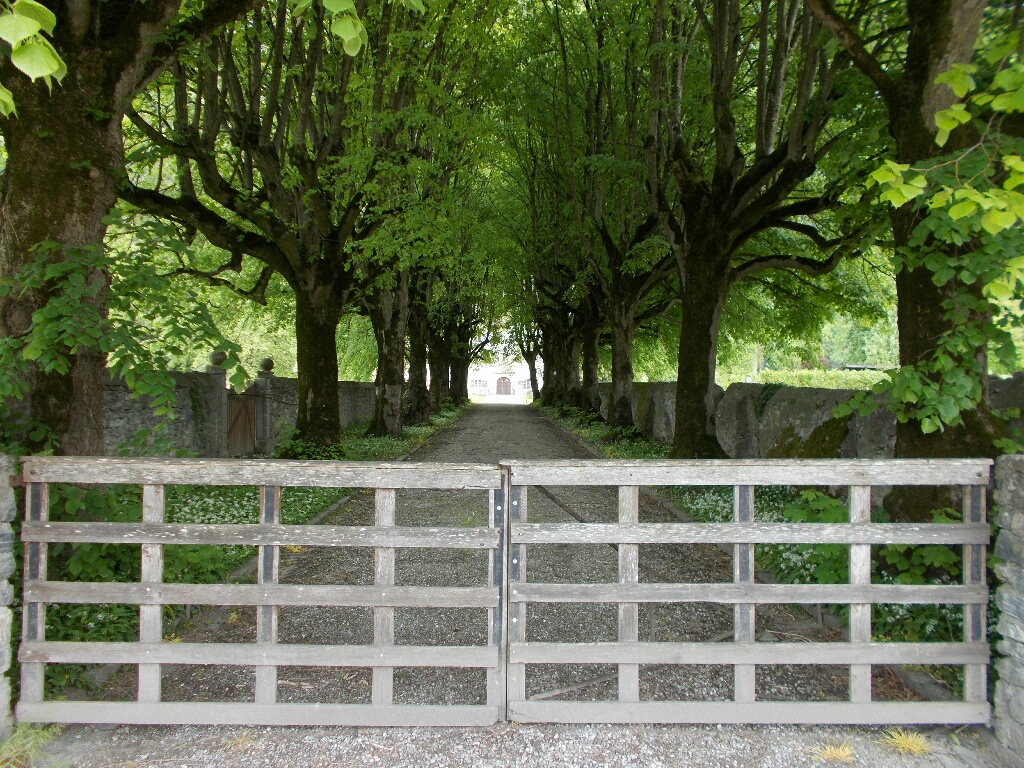 A gated and tree lined driveway.