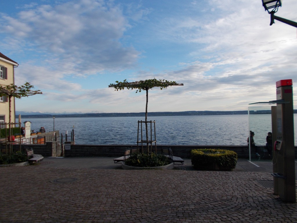 A wide shot looking out of a large lake with a decorative tree in the foreground taken in Meersburg, Germany.