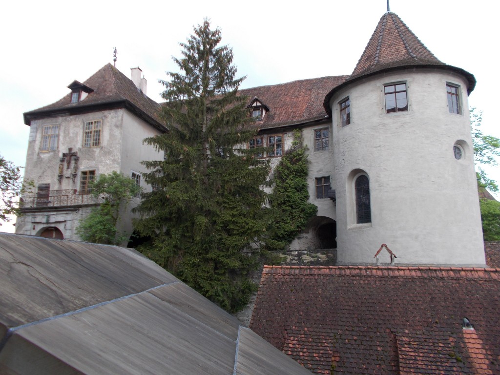 A snapshot of a well maintained castle with a huge tree in the foreground. Meersburg, Germany.