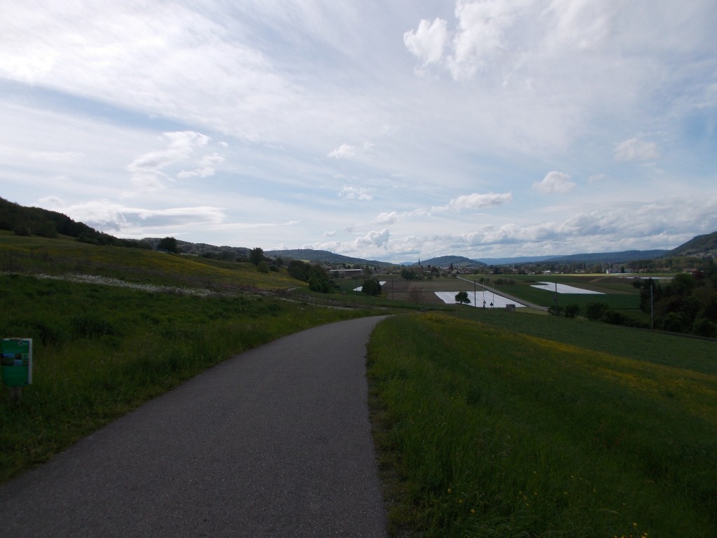 Farmland with a small town visible in the distance. Green grass flowers visible in all directions.