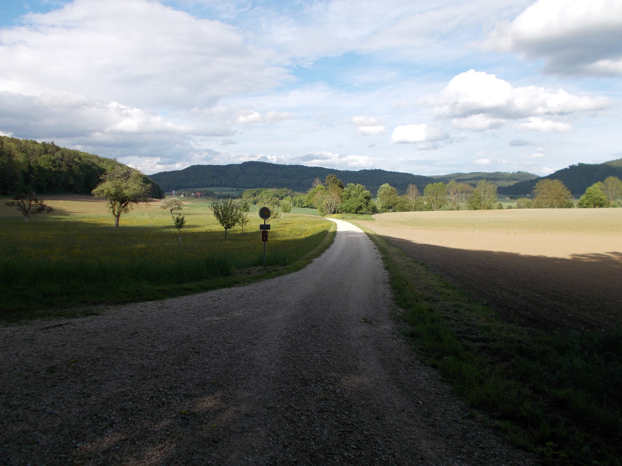 A gravel road leading through large open fields basking in the sunshine.