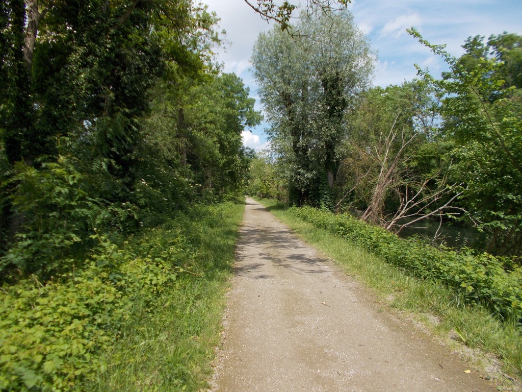 An arrow straight bike pathway alongside a shallow canal, trees on either side.